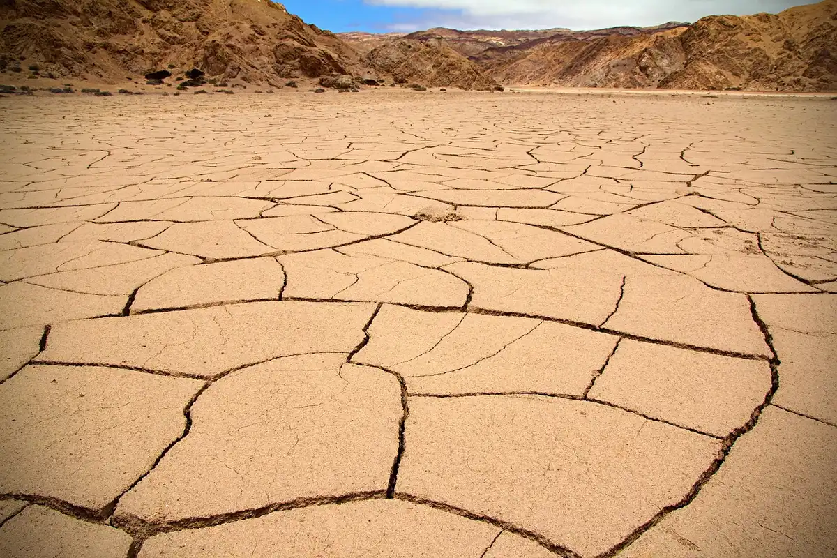 Subsistence farmer walking past cracked fields carrying a water container