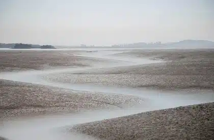 Anonymous crowd near a polluted river channel under hazy sky