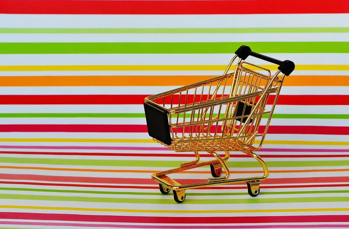Shopping cart with groceries and a budget list showing restraint