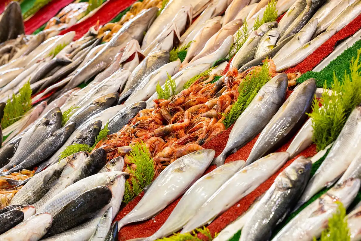 Fish counter sign indicating sustainable sourcing and different salmon types