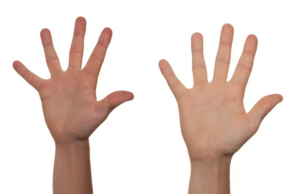 Two anonymous hands holding ballots near a ballot box in a community hall